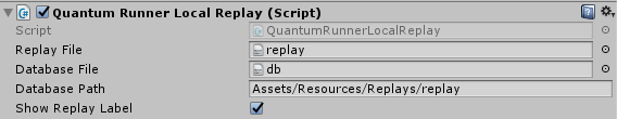 Replay Image Runner